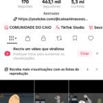 CONTA TIKTOK MAIS DE 450MIL SEGUIDORES
