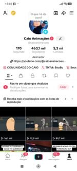 CONTA TIKTOK MAIS DE 450MIL SEGUIDORES