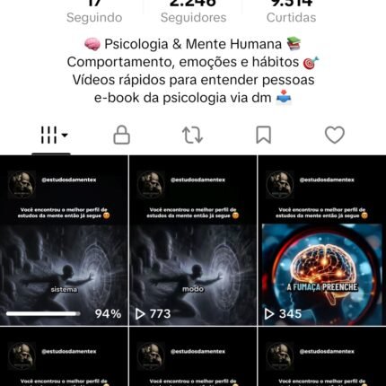 PERFIL DO TIK TOK
