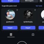 PERFIL DO INSTAGRAM 447 seguidores