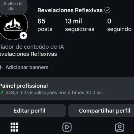 PROMOÇÃO - Instagram - 13 mil seguidores.
