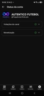 Canal do YouTube à Venda – Excelente Oportunidade - Imagem 4
