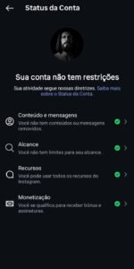 Instagram 14,7K seguidores orgânicos 🇧🇷 | Subindo 📈 | Com e-mail de criação - Imagem 2