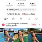 🔥Conta TikTok Shop ativa sem documentos| Pronta para faturar🚀