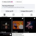 PERFIL INSTAGRAM