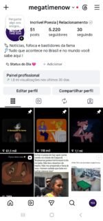 PERFIL INSTAGRAM