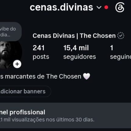 Instagram 15,4K seguidores orgânicos 🇧🇷