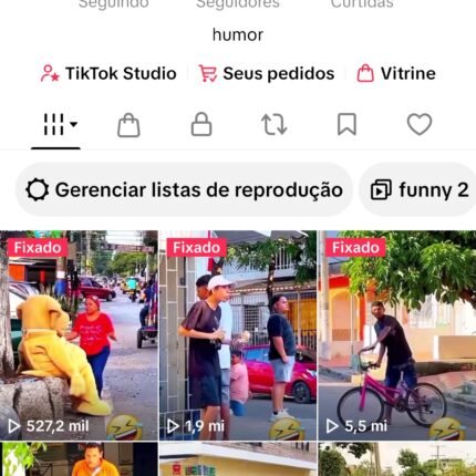 Conta de tiktok, para qualquer nicho