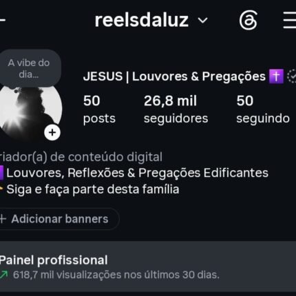 INSTAGRAM 26,8K SEGUIDORES ORGÂNICOS 🇧🇷 | SUPER ENGAJADA 🚀