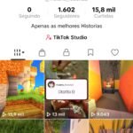 🔥Conta TikTok Shop ativa sem doc.| Pronta para faturar🚀