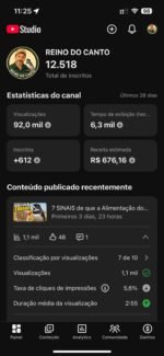CANAL NO YOUTUBE MONETIZADO NICHO DE PASSARINHO. TEM GRANDE AUTORIDAD E FACIL DE VENDER PRODUTO. - Imagem 2