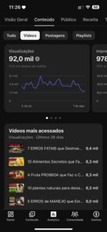 CANAL NO YOUTUBE MONETIZADO NICHO DE PASSARINHO. TEM GRANDE AUTORIDAD E FACIL DE VENDER PRODUTO. - Imagem 4