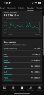 CANAL NO YOUTUBE MONETIZADO NICHO DE PASSARINHO. TEM GRANDE AUTORIDAD E FACIL DE VENDER PRODUTO. - Imagem 3