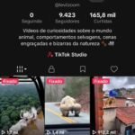 CONTA TIKTOK +9.400 SEGUIDORES / +165 MIL CURTIDAS