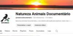 CANAL YOUTUBE MONETIZADO 78.4 K SUBS | +21.7 MILHÕES DE VIEWS |NICHO NATUREZA, RECEITA ALTISSIMA 🦁🔥 - Imagem 4