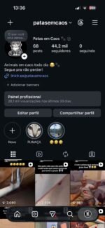 CONTA 44K SEGUIDORES 100% ORGÂNICOS - ORIGEM STAND-UP COMEDY - NEGOCIÁVEL