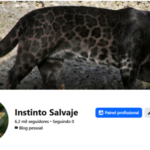 Vendo Página do Facebook 6 mil seguidores