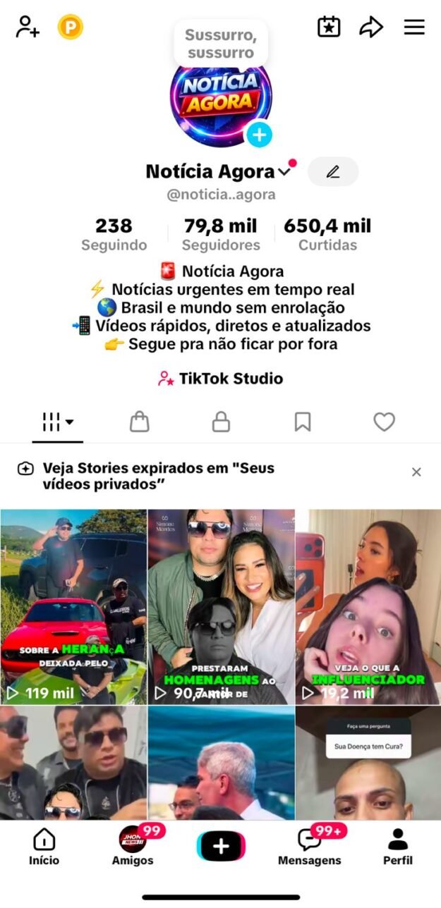 cropped-IMG-20260829-WA0031.jpg VENDO CONTA 79 MIL SEGUIDORES TIKTOK MONETIZADA - Imagem 1