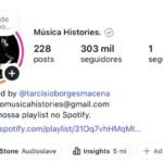 Instagram 304k de Seguidores Orgânicos