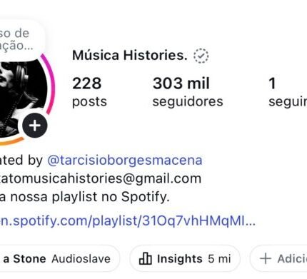 Instagram 304k de Seguidores Orgânicos