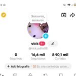 CONTA TIK TOK +16K E 800K DE CURTIDAS