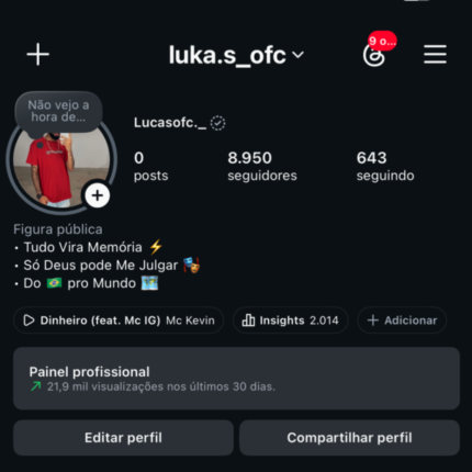 Conta do Instagram muito engajada
