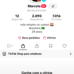 🔥 Conta TikTok Shop Ativa | Pronta para Lucrar 🚀