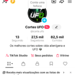 CONTA 27K TIKTOK SHOP ATIVO (LEIA A DESCRIÇÃO)