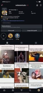 Conta Instagram 73 mil seguidores / memes pra rir - Imagem 2