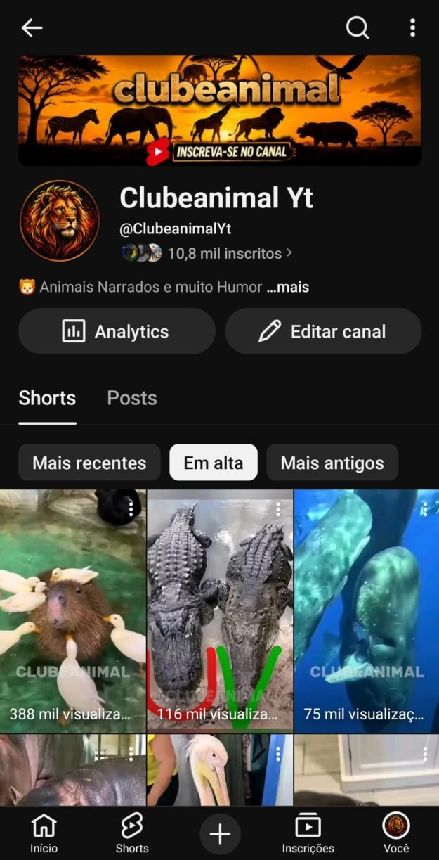 cropped-Screenshot_20260812_172247_YouTube.jpg Conta engajada - Imagem 1