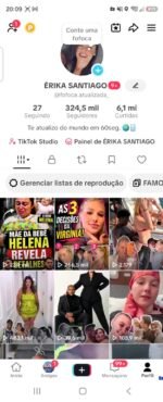 Conta do tiktok com 320 mil seguidores