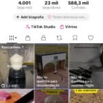 CONTA TIKTOK COM 23K OBS: SERVE SO PRA FAZER LIVE