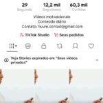 Conta de tik tok com 12,2 mil seguidores engajado com 60,3 mil curtidas por 295