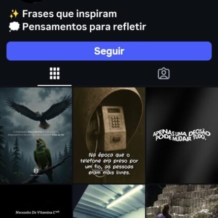 Página do instagram 1.044 seguidores
