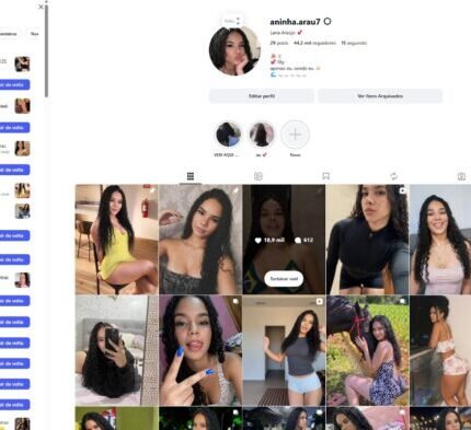 INSTAGRAM COM 44 MIL SEGUIDORES ATIVOS E RENDENDO
