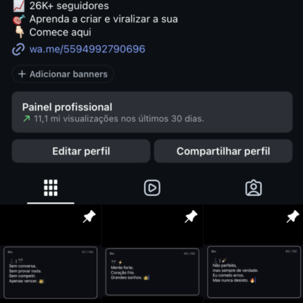 31k+Instagram orgânico , 100% engajado visualizações +11 milhões nos story 9 mil visualizações conta ativa e crescendo engajamento orgânico conta atualmente ativa e crescendo