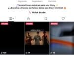 CONTA TIKTOK - MAIS DE 200 VISUALIZAÇÕES - MAIS DE 48 CURTIDAS - 8 SEGUIDORES