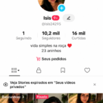 CONTA TIKTOK 10K PRONTA PARA MONETIZAR E CRESCER