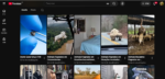 Canal Youtube 327 mil inscritos. Nicho de curiosidades sobre o mundo animal - Imagem 3