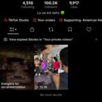 Conta TikTok 100 mil seguidores
