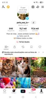 Vendo canal do tiktok, com total de 15,7 mil seguidores e 97,6mil curtidas,visualizações incríveis, conta monetizada para programa criativo beta...obs: sem tiktok shop ativo - Imagem 2