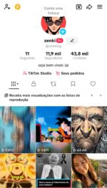 🔥 CONTA TIKTOK MONETIZADA À VENDA! 🔥 💰 Monetização ATIVA!