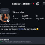 Instagram feminino com Gmail de criação