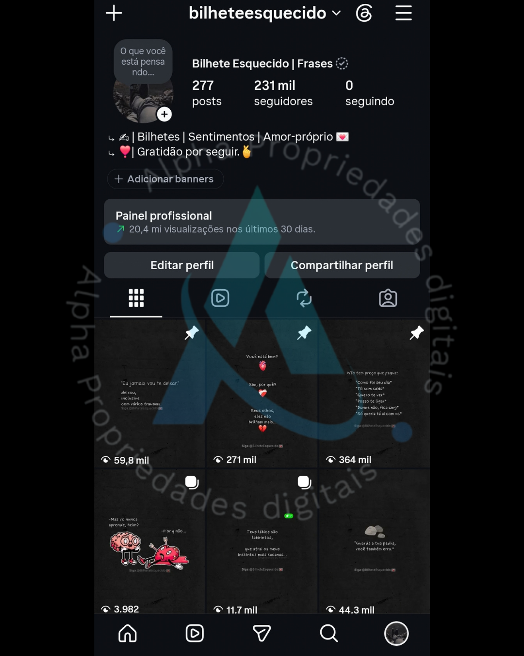 6_20260923_222544_0000 Instagram impecável 231k totalmente orgânicos engajados - Imagem 1