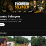 Canal do YouTube Com Mais de 4k de Seguidores. O Canal Tem Ótimas visualizações e Um Bom Engajamento.