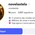 Instagram 2.037 seguidores