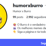 Instagram 2.992 seguidores