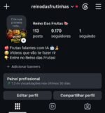 perfil do instagram 9K ✨