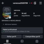 instagram com 14K seguidores ✅