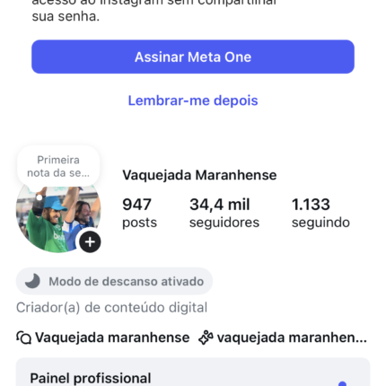 Insta de Cavalos e vaqueja 100% Organico: zero restrição, valor promocional de 2.800,00 por apenas 1847,00 aberto a negociação